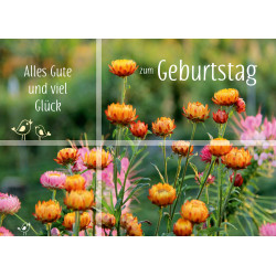 Karte Nr. 4148