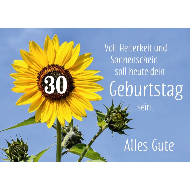 Karte Nr. 445 Karte Nr. 445